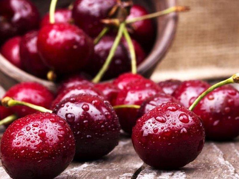 Вишня купить саженцы из питомника в Кунгуре